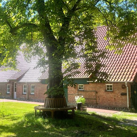 Ferienwohnung Mit Garten In Meyenburg - Keine Monteure Schwanewede 外观 照片