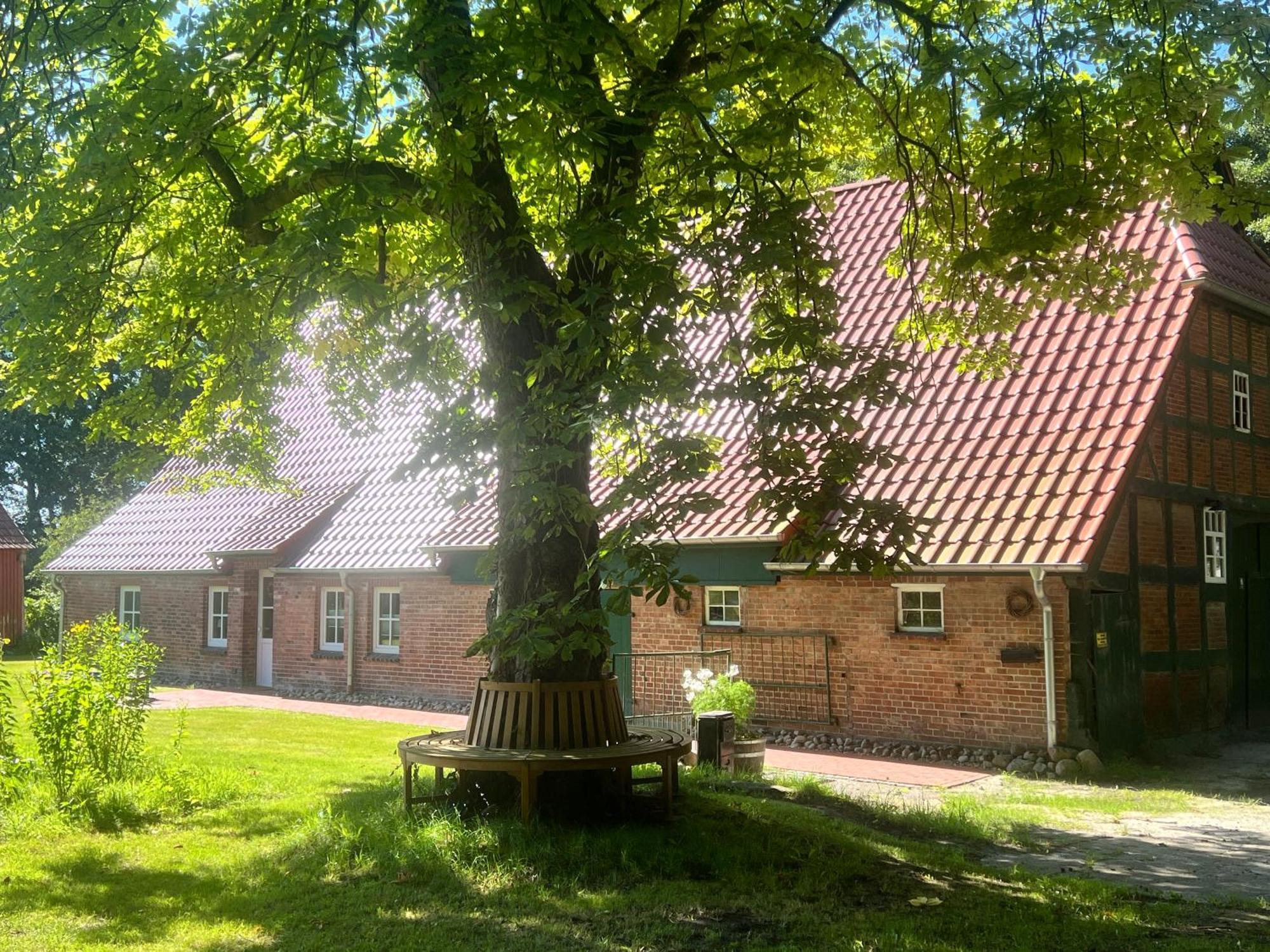 Ferienwohnung Mit Garten In Meyenburg - Keine Monteure Schwanewede 外观 照片